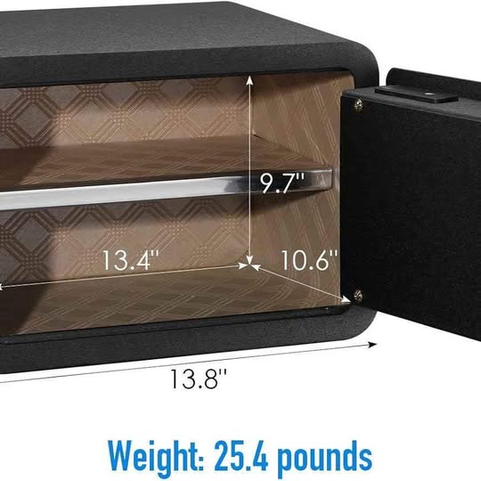 Tenamic Caja de seguridad biométrica de huellas dactilares, 0.85 pies ...