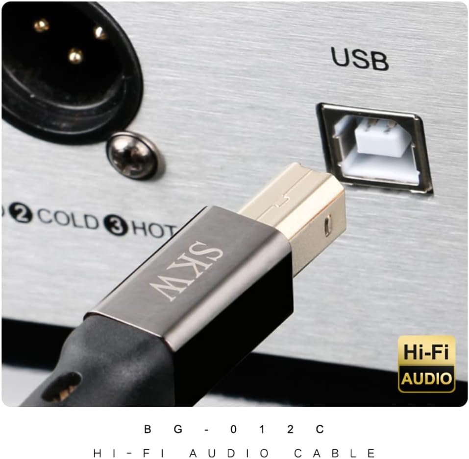 SKW Audiophiles - Cable de impresora USB tipo C/USB C a USB B, cable d...