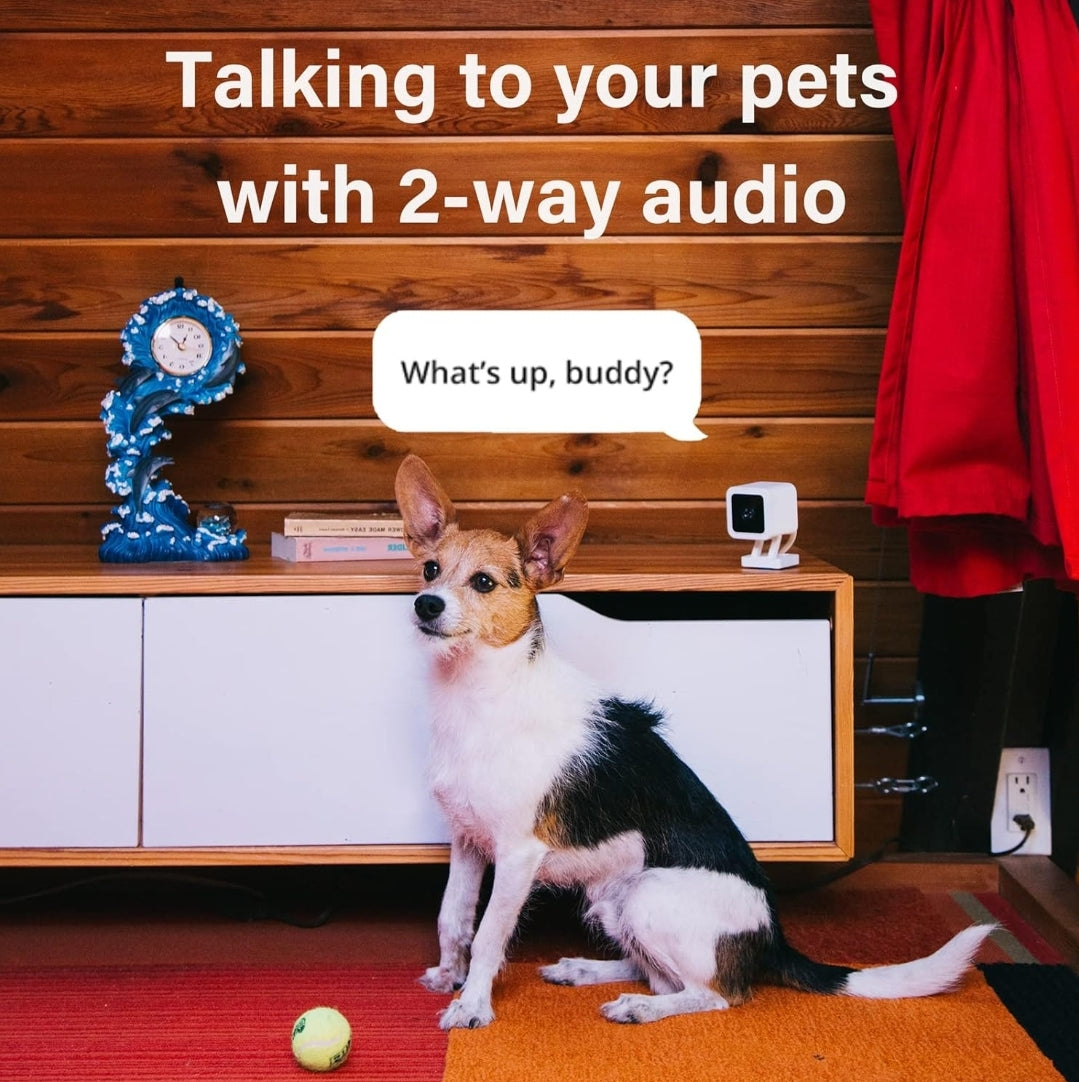 Cámara para mascotas con cable Wyze Cam v3 para gatos y perros, WiFi d...