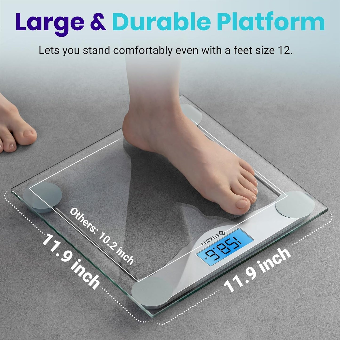 Etekcity Digital Body Weight Scale with Backlit LCD Display