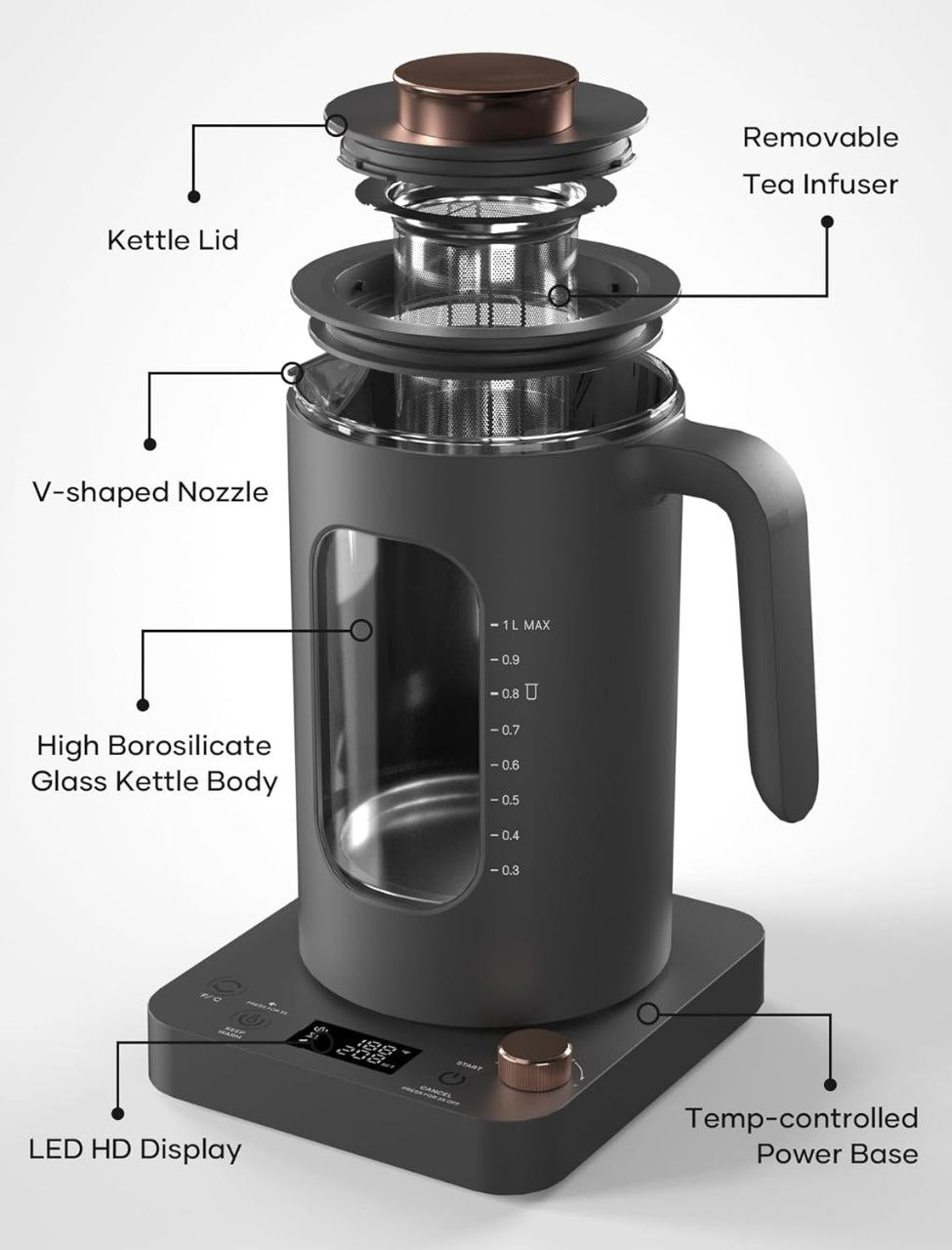 Hervidor eléctrico de vidrio INTASTING