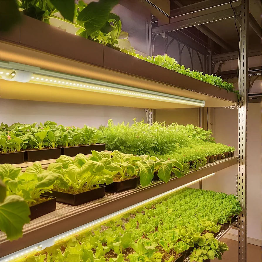 Barrina Luz de cultivo de plantas, 252 W (6 x 42 W, equivale...