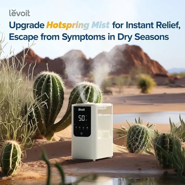 LEVOIT Humidificadores para dormitorio y hogar, humidificador de aire ...