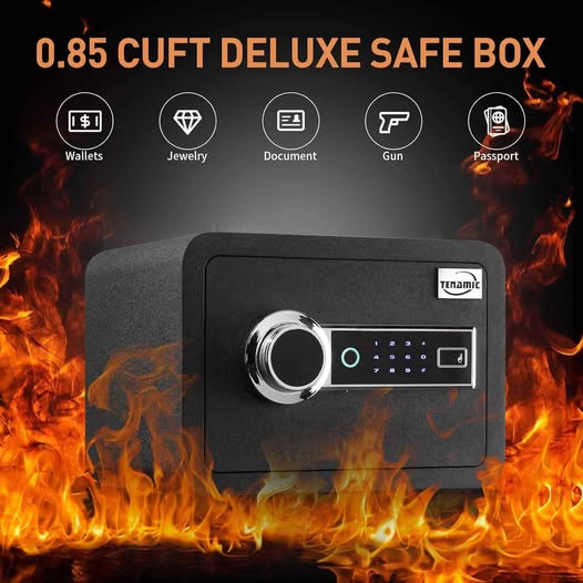 Tenamic Caja de seguridad biométrica de huellas dactilares, 0.85 pies ...