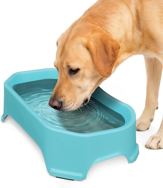 Neater Pet Brands Big Bowl – Cuenco de agua extragrande para perros (c...