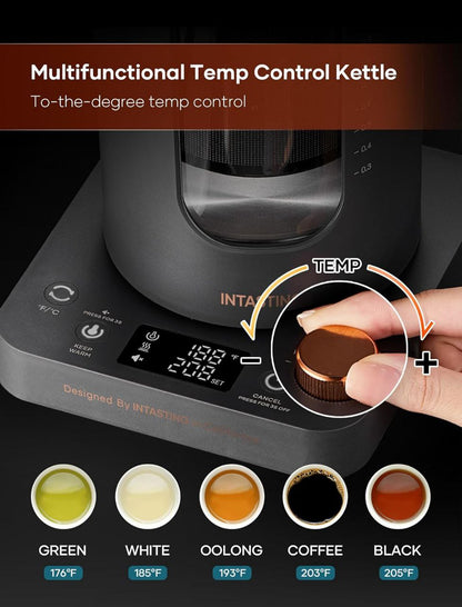 Hervidor eléctrico de vidrio INTASTING